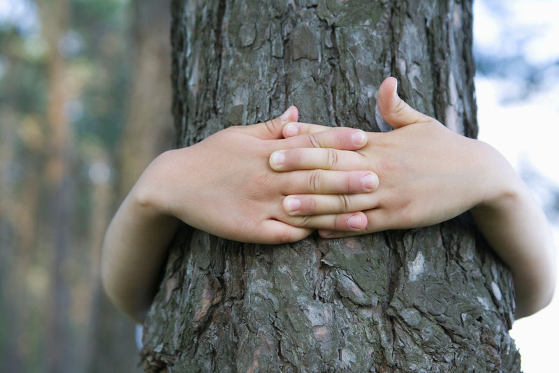 hands around a tree trunk