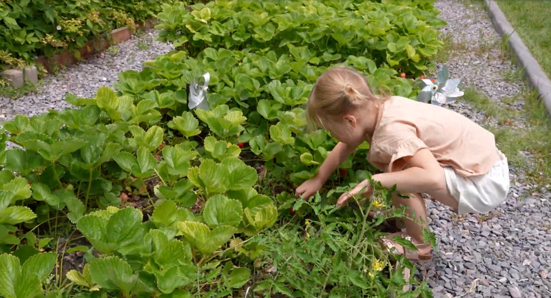 Child playing in a garden 