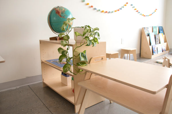 Montessori vs. Waldorf