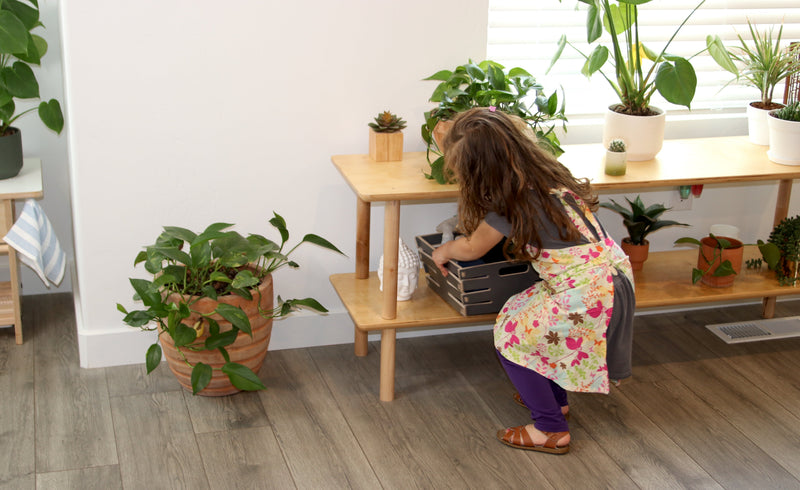 Child caring for plants on a wooden shelf