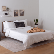 Sparrow Bed