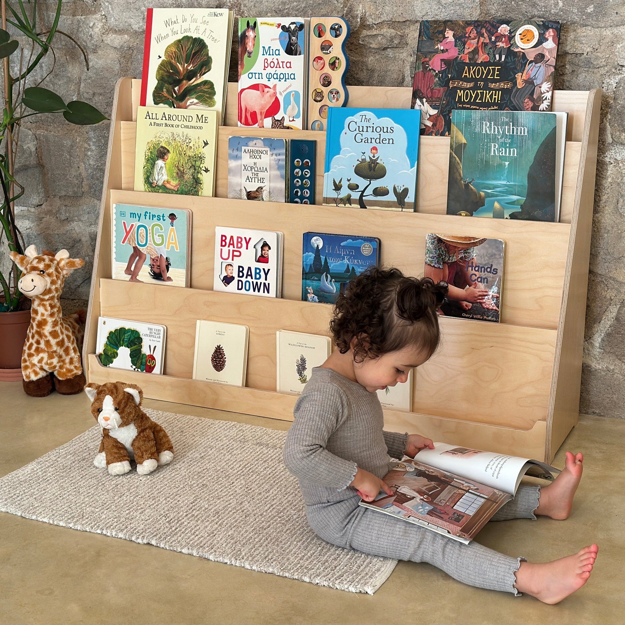 Lexico Book Display Shelf – Sprout