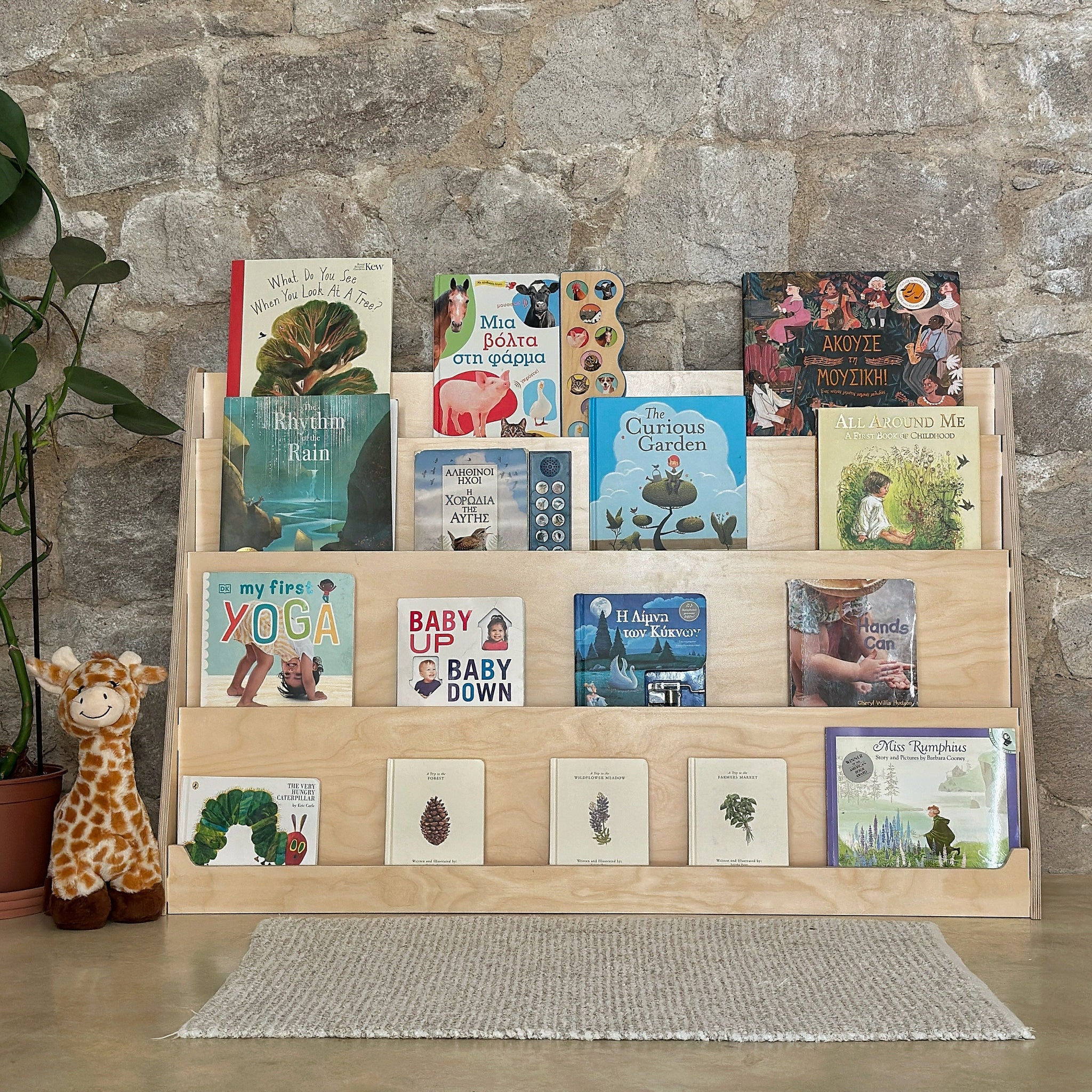 Lexico Book Display Shelf – Sprout