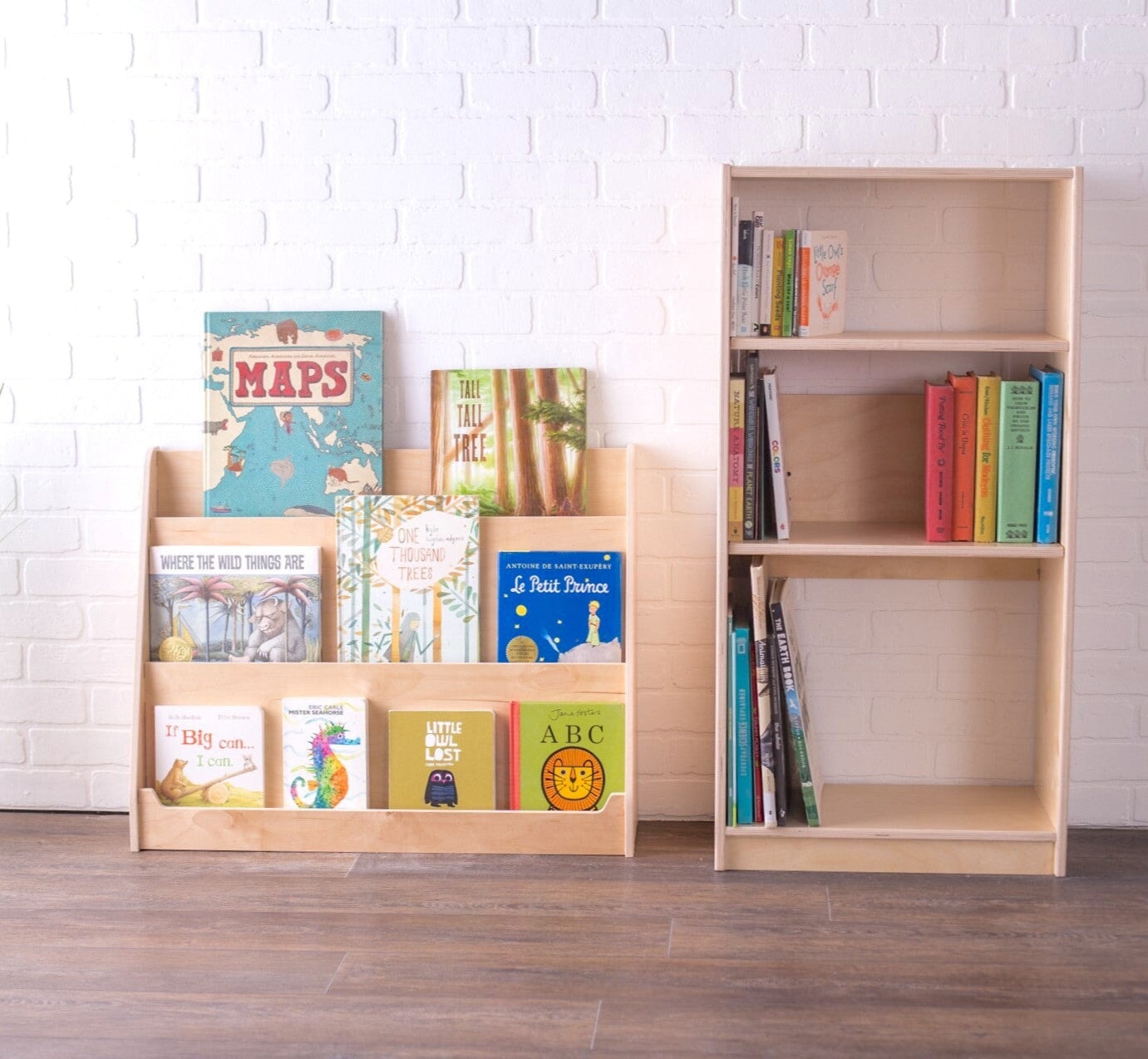Lexico Book Display Shelf – Sprout