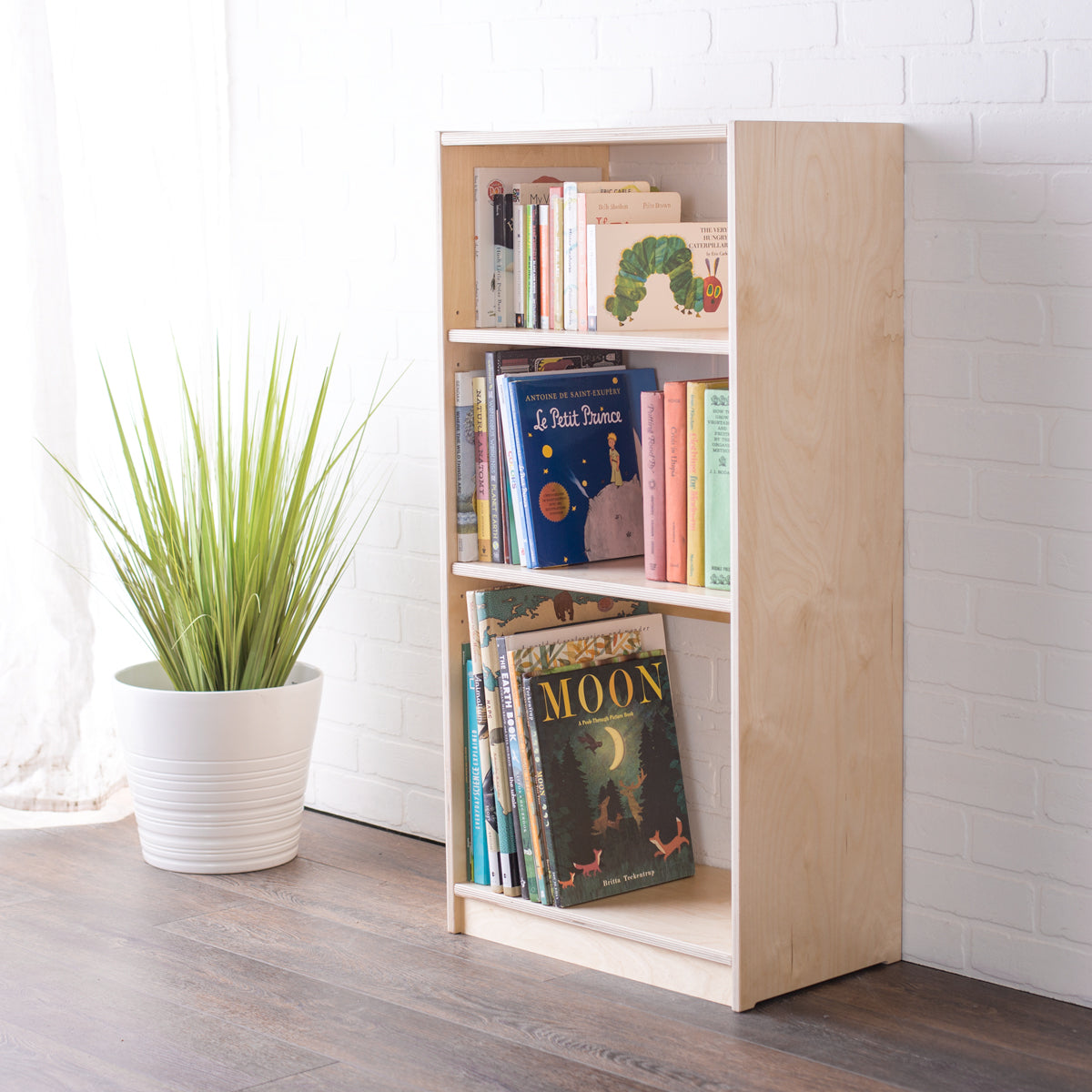 School Book Display Shelf – Sprout